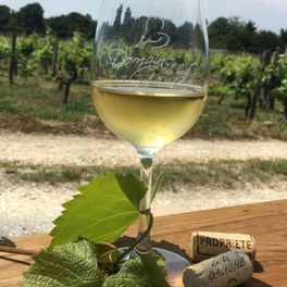 Domaine de la Gauche