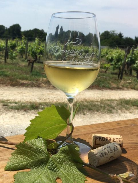 Domaine de la Gauche