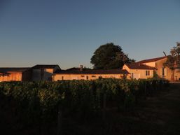 Domaine de la Gauche