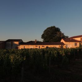 Domaine de la Gauche