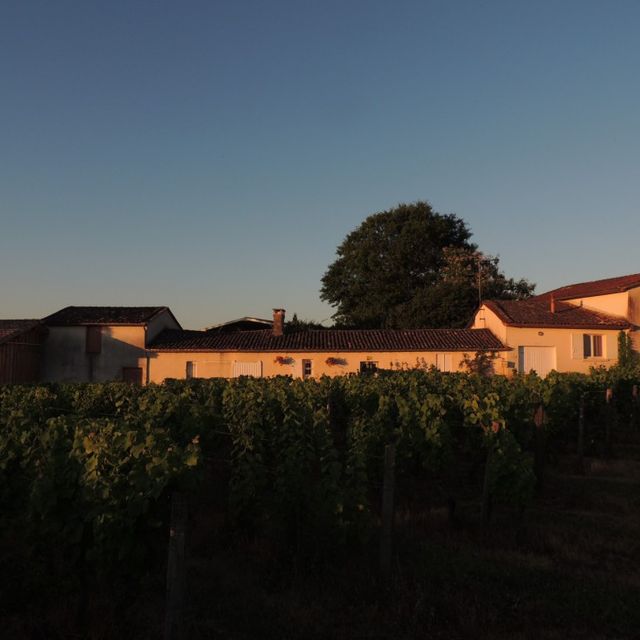 Domaine de la Gauche