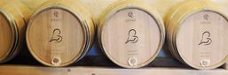 Domaine de la Gauche