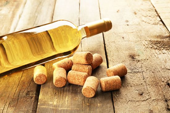 Nos vins Domaine de la Gauche