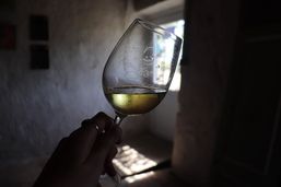 Domaine de la Gauche