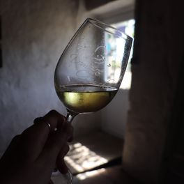 Domaine de la Gauche