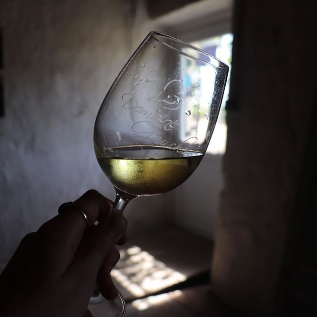 Domaine de la Gauche