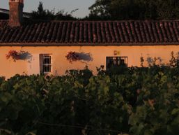 Domaine de la Gauche