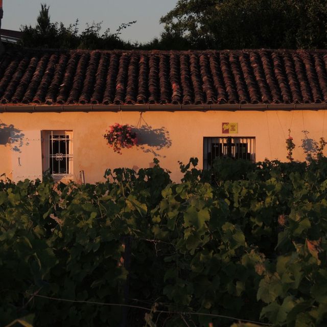 Domaine de la Gauche