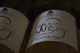 Vin Domaine de la Gauche