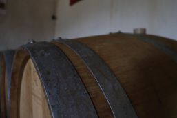 Domaine de la Gauche