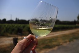 Domaine de la Gauche